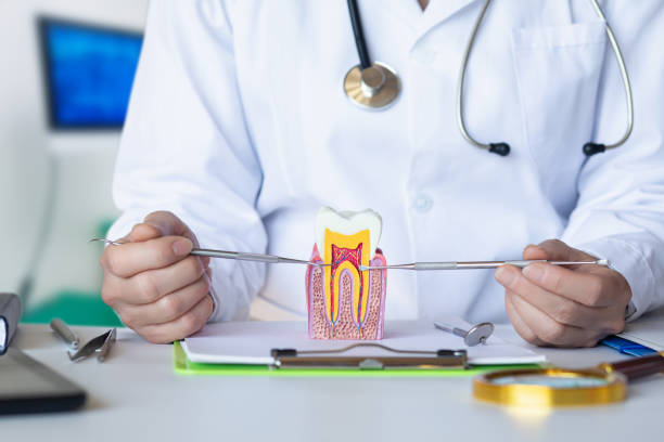 Best Emergency Dental Care for Trauma or Injury in Wd, AR